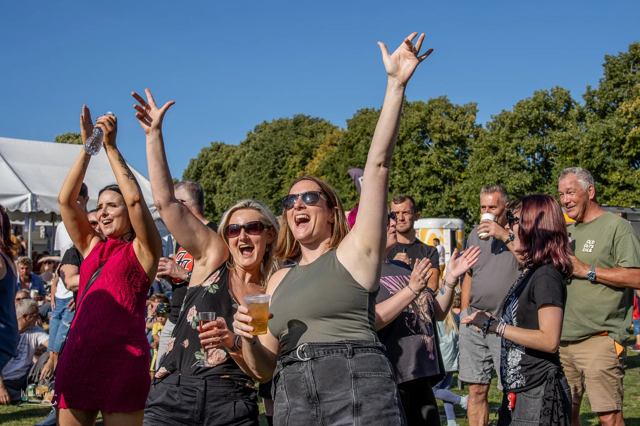 Hands in the air by the stage at Weald on the Field
